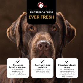 Everfresh Liofilizirana hrana Govedina 500g 9 liofilizirana hrana za pse govedina