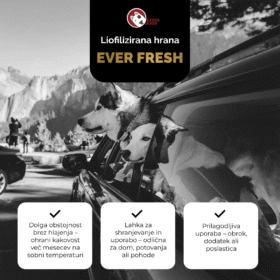 Everfresh Liofilizirana hrana Govedina 500g 13 liofilizirana hrana za pse ever shrooms