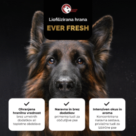 Everfresh Liofilizirana hrana Konj 500g 9 liofilizirana hrana za pse ever shrooms
