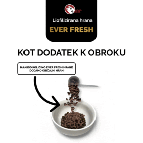 Everfresh Liofilizirana hrana Govedina 500g 12 liofilizirana hrana za pse ever shrooms