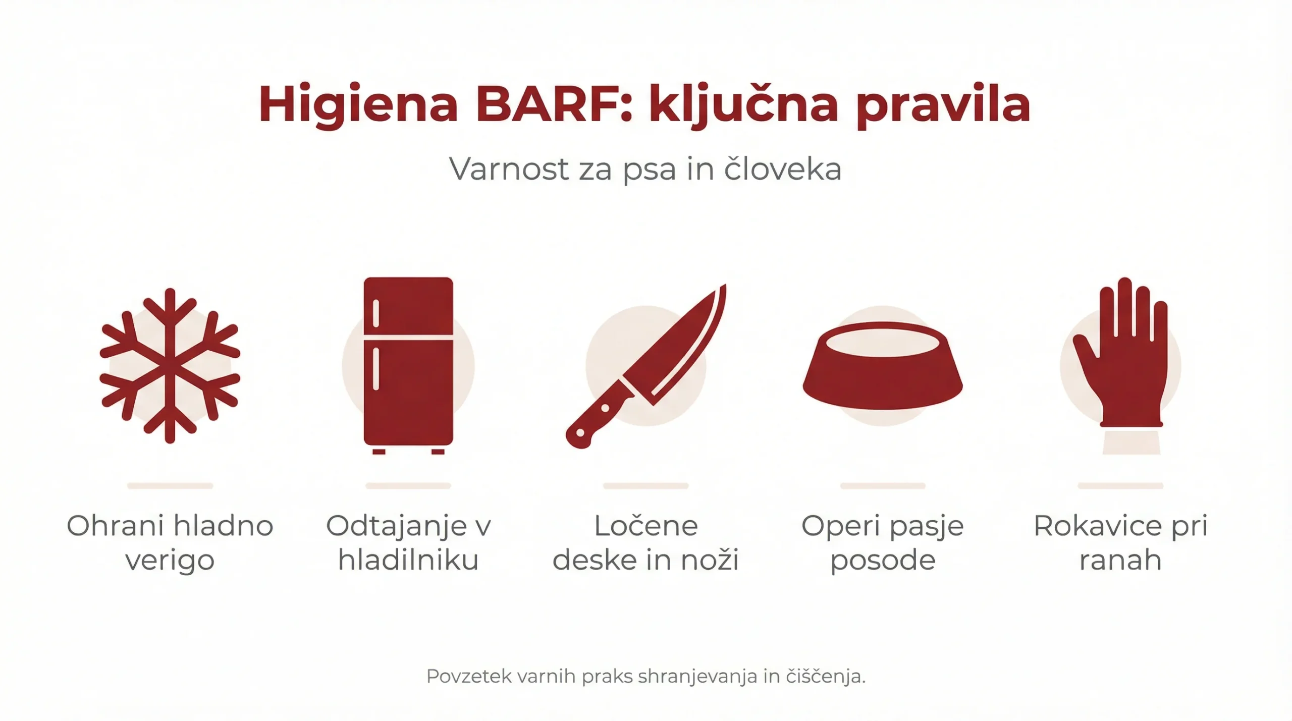 Kako sestaviti uravnotežen BARF obrok: 80/20 razmerja, kosti in organi brez napak 4 Higiena BARF: ključna pravila