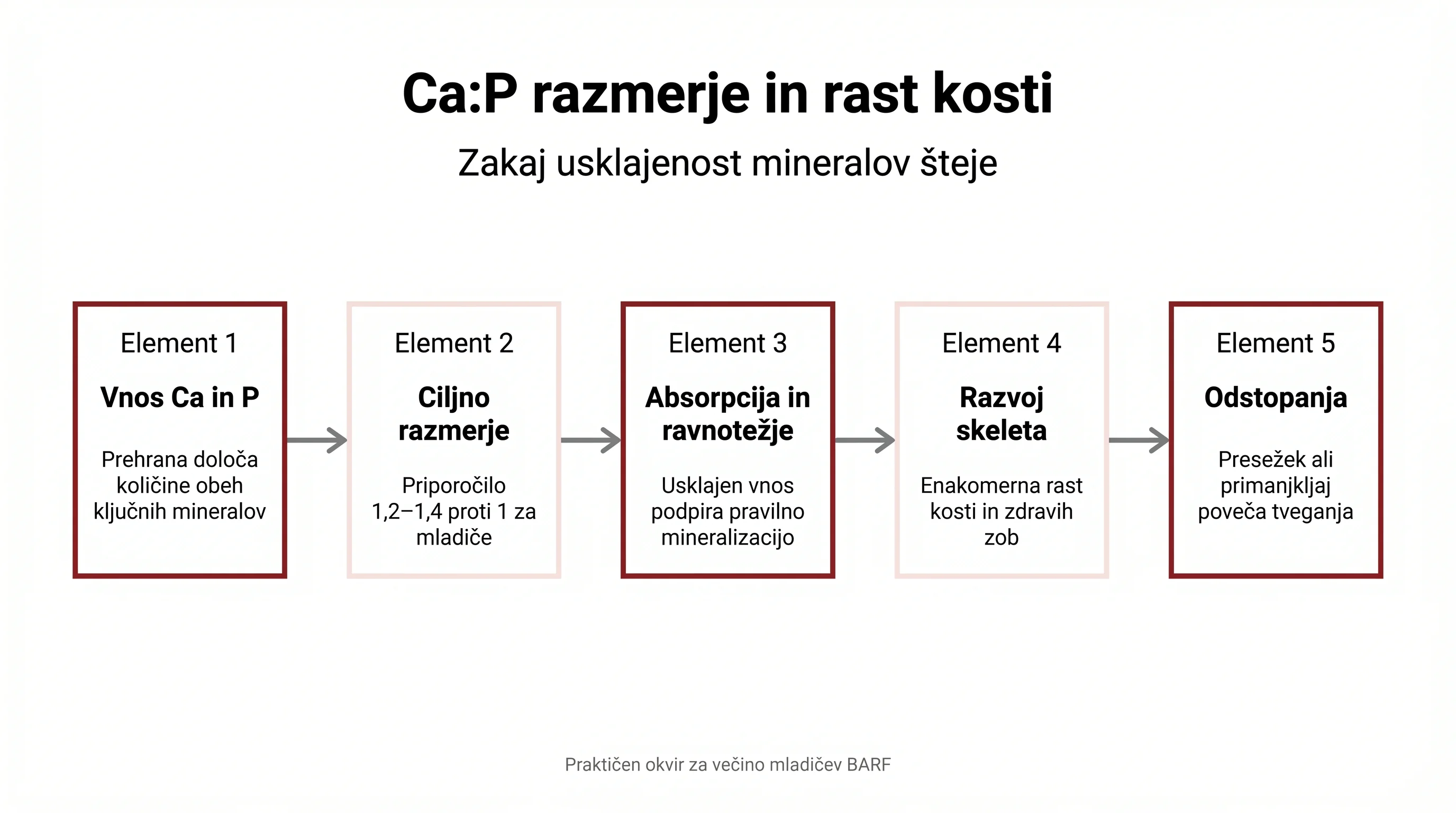 Mladiči na BARF: varna uvedba, rast in kalcij/fosfor razmerja 2 Ca:P razmerje in rast kosti