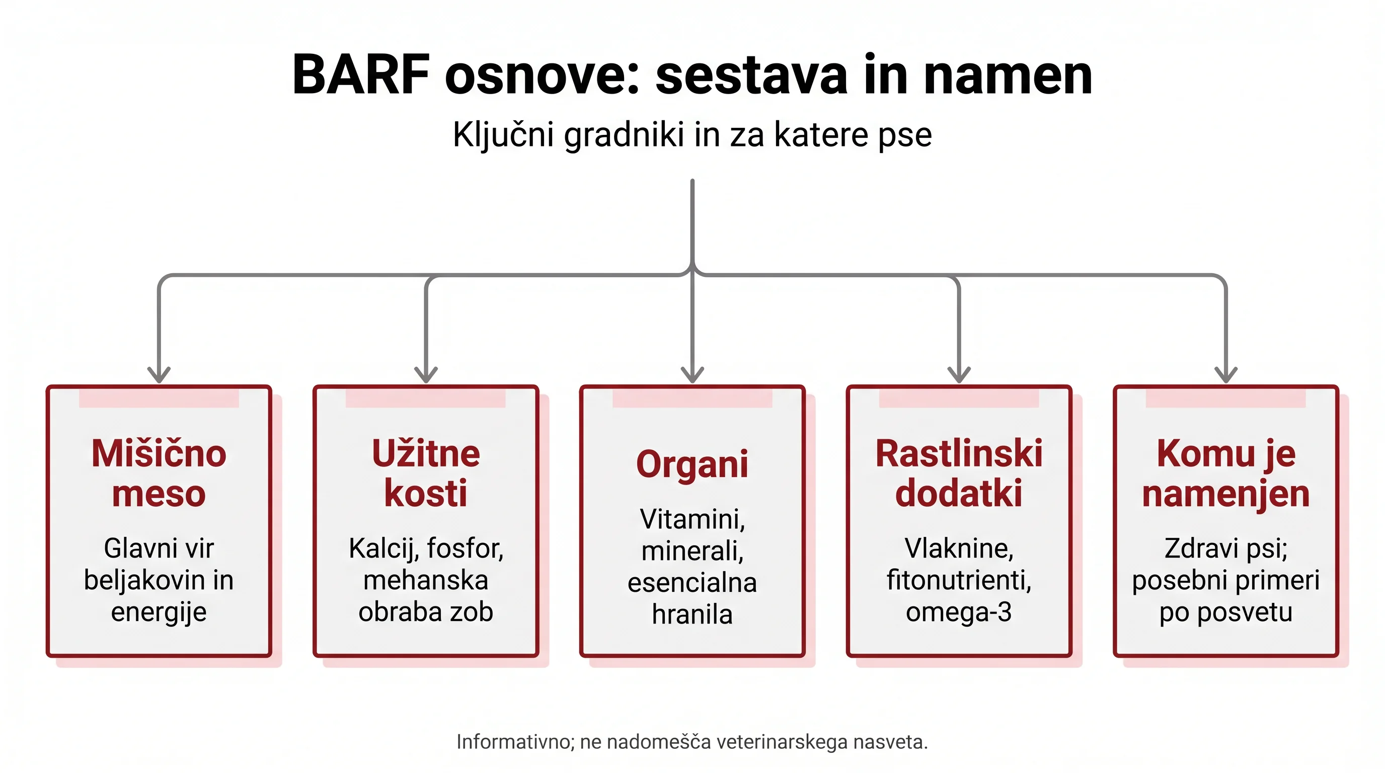 Naravna prehrana psov (BARF) v praksi: kaj, zakaj in kako začeti 2 BARF osnove: sestava in namen