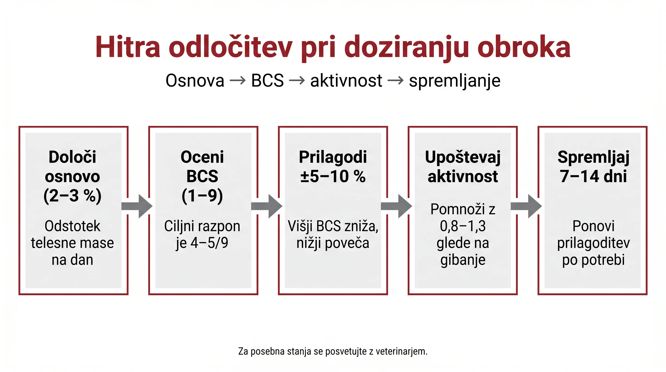 Koliko hrane pes potrebuje: doziranje po teži, BCS in aktivnosti 3 Hitra odločitev pri doziranju obroka