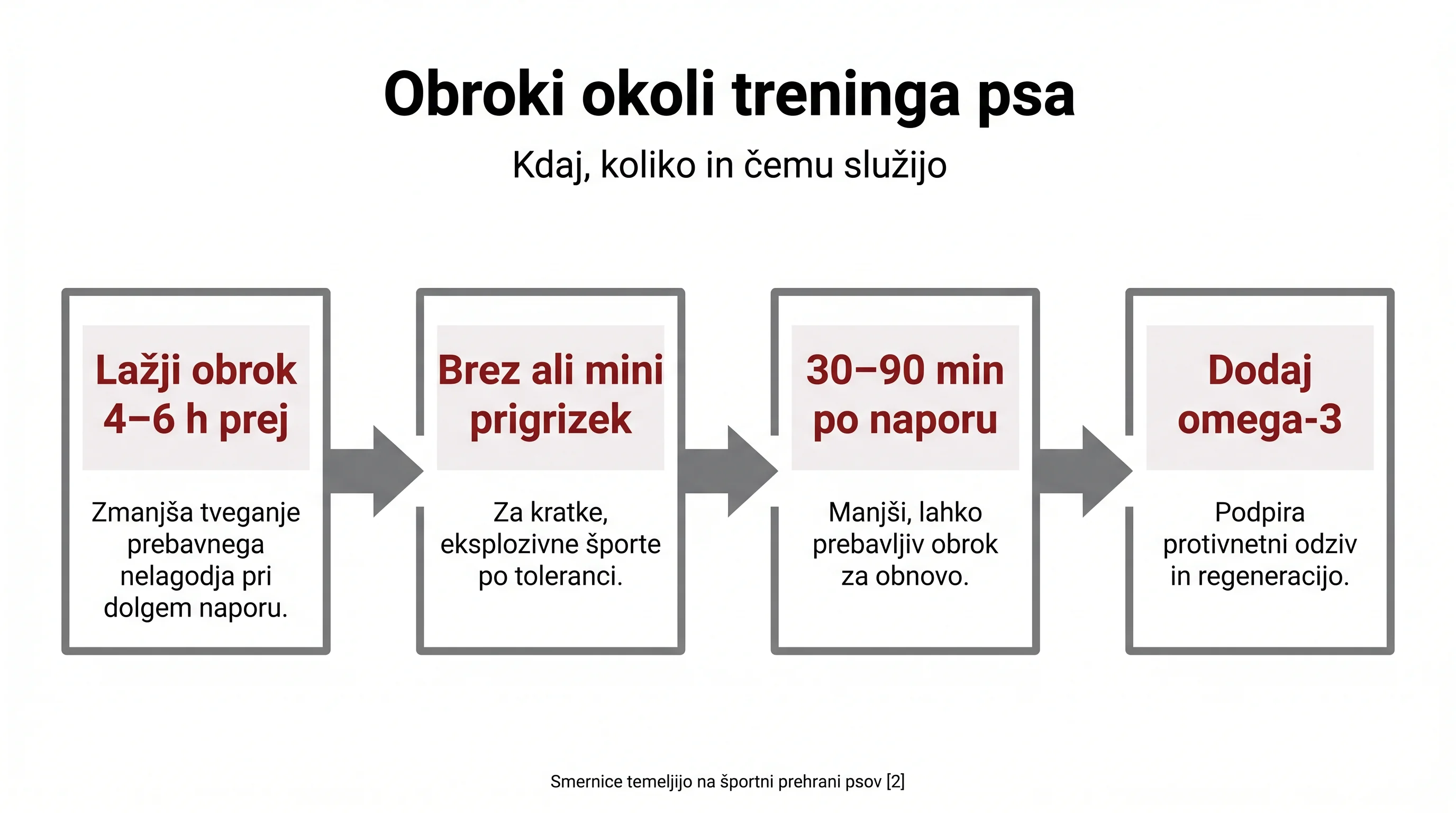 Aktivni in športni psi: prilagoditev BARF-a za energijo in regeneracijo 3 Obroki okoli treninga psa