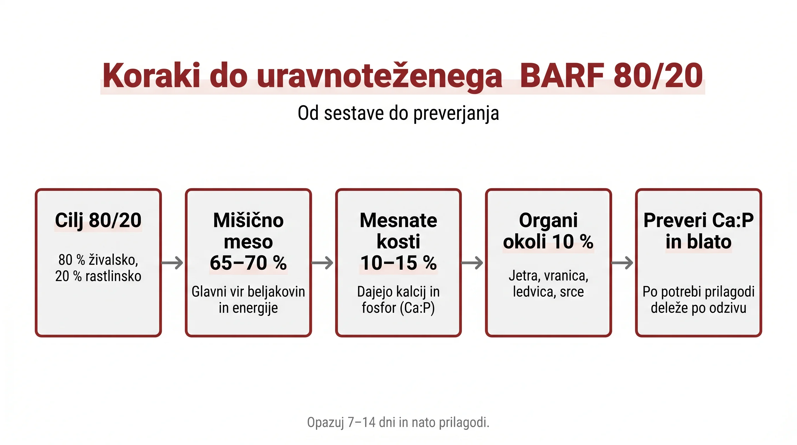 Kako sestaviti uravnotežen BARF obrok: 80/20, kosti in organi brez napak 3 Koraki do uravnoteženega BARF 80/20