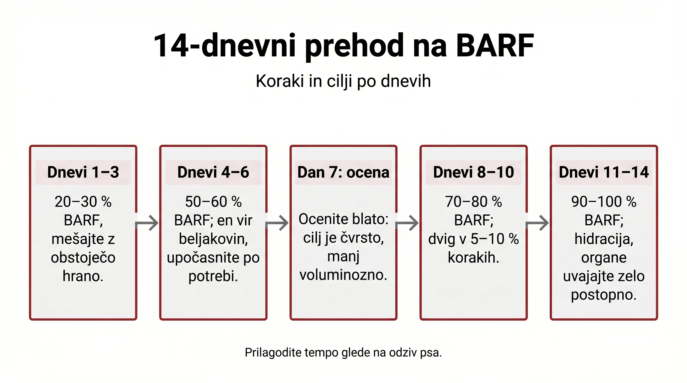 14‑dnevni načrt prehoda na BARF: koraki, opazovanje in prilagoditve 2 14‑dnevni prehod na BARF