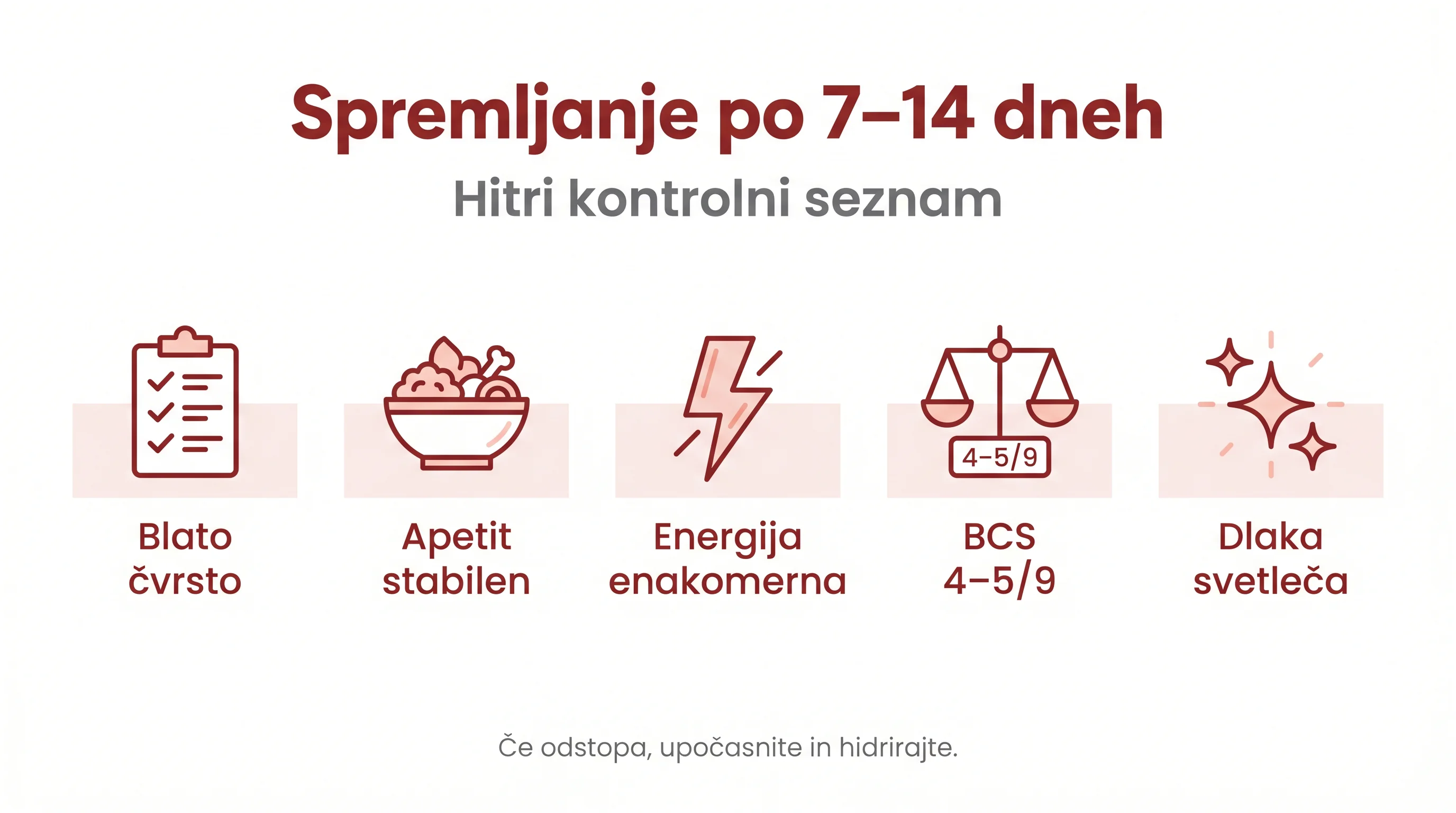 14‑dnevni načrt prehoda na BARF: koraki, opazovanje in prilagoditve 3 Spremljanje po 7–14 dneh